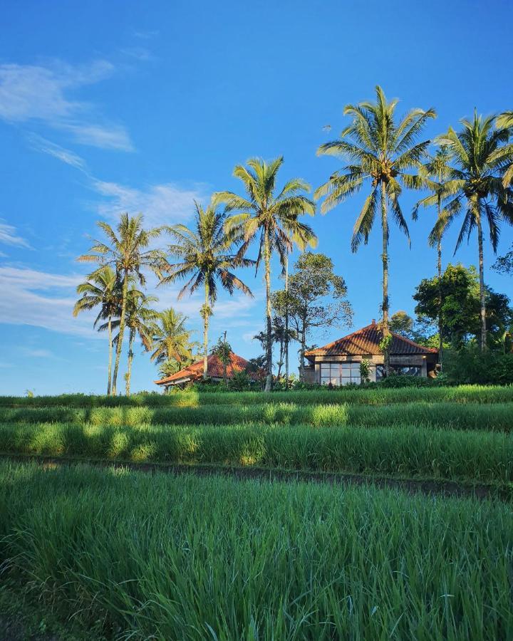 Hotel Sava Eco Retreat Padangan  Exterior foto