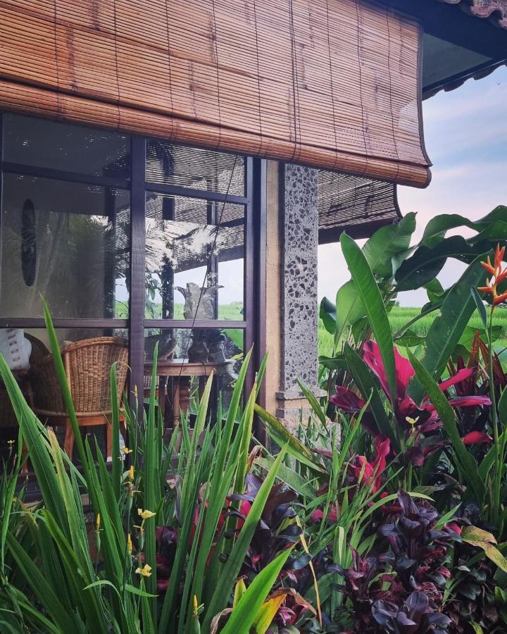 Hotel Sava Eco Retreat Padangan  Exterior foto