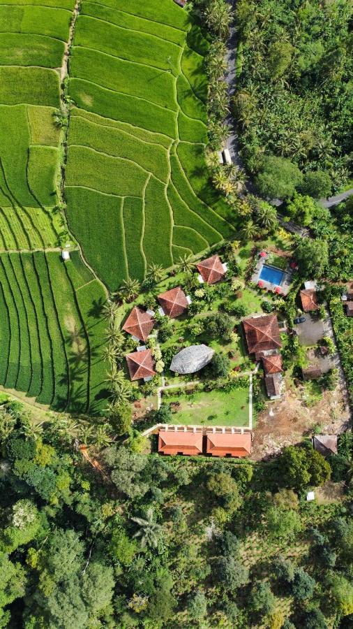 Hotel Sava Eco Retreat Padangan  Exterior foto