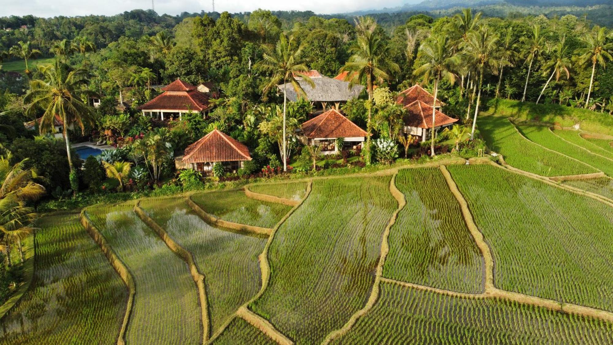 Hotel Sava Eco Retreat Padangan  Exterior foto